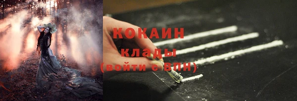 ПСИЛОЦИБИНОВЫЕ ГРИБЫ Лагань